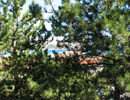 Apartmani Lili