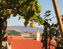 Apartmani Lili