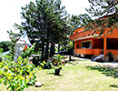 Apartmani Lili