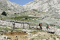 Šetnica 2